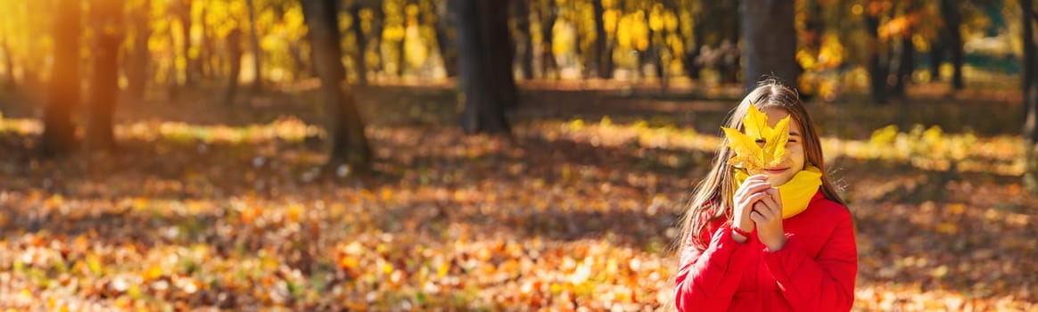 Autumn child in the park with yellow leaves. Selective focus. Kid.