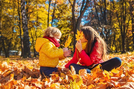 Autumn child in the park with yellow leaves. Selective focus. Kid.