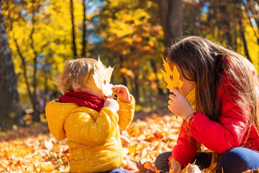 Autumn child in the park with yellow leaves. Selective focus. Kid.