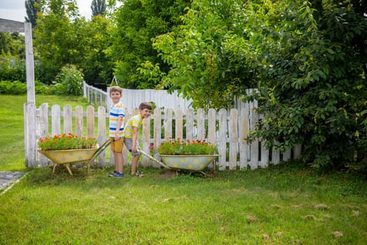 Two Little boys is playing holding a retro wheelbarrow with a harvest of flowers. Summer vocation on village concept.