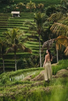 Back view of girl in green dress looking at rice terrace. Close up shot of elegant lady on a rice plantation