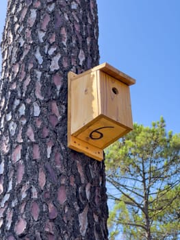 Bird House on a Pine Tree. wooden man made.