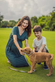 A heartwarming moment captured in the park as a pregnant woman after 40 shares a special bond with her teenage son, embracing the beauty of mother-daughter connection.