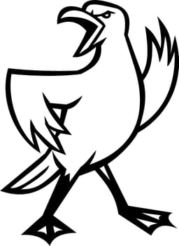 Mascot illustration of head of an angry seagull shouting and standing looking to side viewed from   on isolated background in retro style.