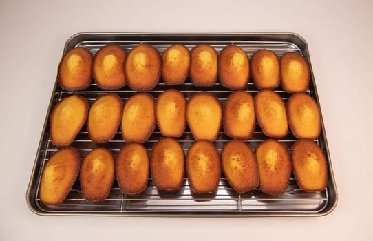 Delicious madeleine cake on on a rack after baking, flavoured with honey, lemon and vanilla, High quality 4k footage
