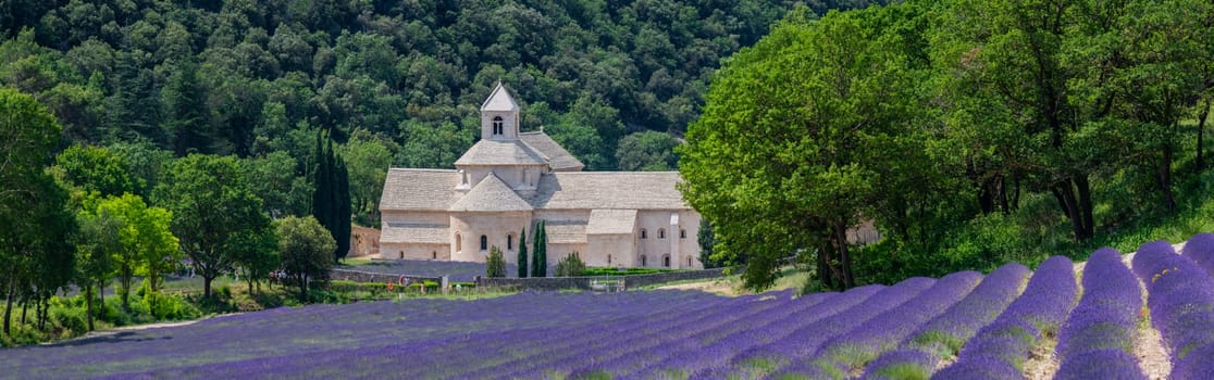 Senanque Abbey Gordes Provence Lavender fields, Notre-Dame de Senanque, blooming purple-blue lavender fields Luberon France, Europe, High quality photo