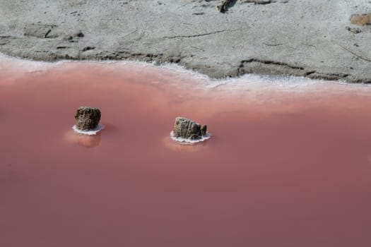 Wooden stakes corroded by salt and pink salt water, Camargue, Salin de Guiraud, France, High quality photo