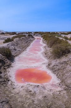 Pink Ponds In Man-made Salt Evaporation Pans In Camargue, Salin de Guiraud, France. High quality photo