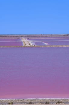 Pink Ponds In Man-made Salt Evaporation Pans In Camargue, Salin de Guiraud, France. High quality photo