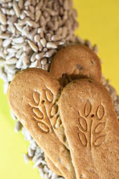 healthy dry biscuits with cereals and seeds.