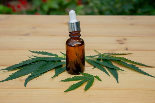 hemp essential oil on a wooden background, hemp leaves. Selective focus. Nature
