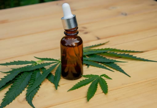 hemp essential oil on a wooden background, hemp leaves. Selective focus. Nature