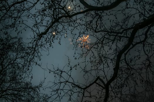 Looking up through tree branches, only silhouettes visible, fireworks on dark sky