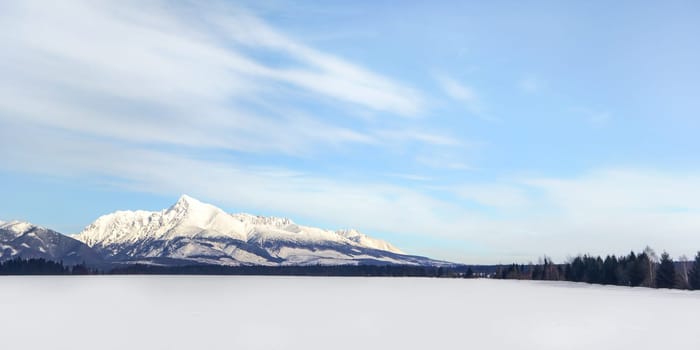 Snow covered field with Mount Krivan (Slovak symbol) in distance. Wide winter panorama with space for text.