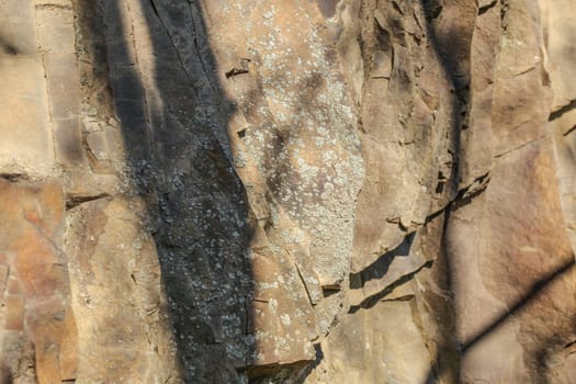 Small patches of lichen growing on flat rocks