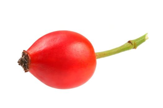 Single rosehip (Rosa Canina fruit) isolated on white background