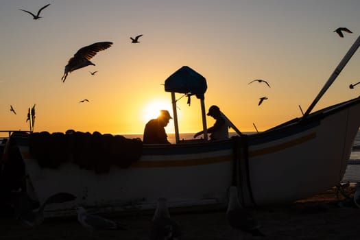 Fishermen sit in a fishing boat on the shore at sunset and seagulls fly around them. Mid shot