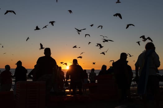 A crowd of people stands on the seashore at sunset and a bunch of seagulls fly around. Mid shot