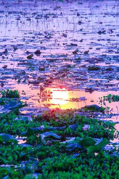 Sunset in the reservoir