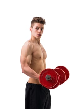 A shirtless man holding two dumbbells in a studio shot, isolated on white