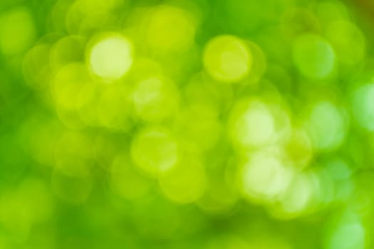 Abstract background, bright green bokeh. Backdrop. Beautiful spring summer banner.