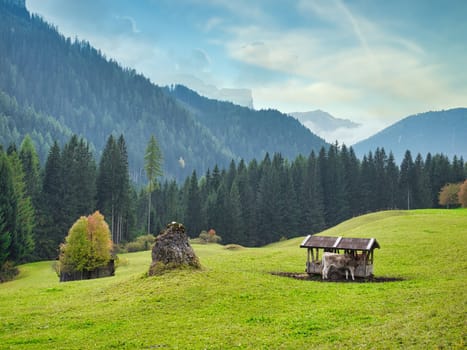 A small wooden shelter in a grassy field. Photo of a quaint wooden shelter nestled in the picturesque Dolomite Alps of Italy