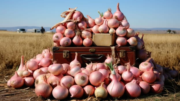 A pile of onions on a suitcase
