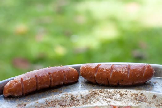 Baked sausages in traditional croatian dish kotlovina