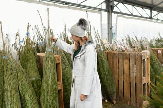 A woman buying a Christmas tree in the market.
