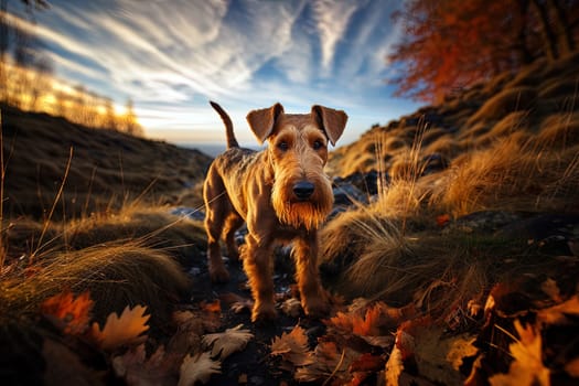Portrait of Airedale Terrier, close up photo. Ai generative art