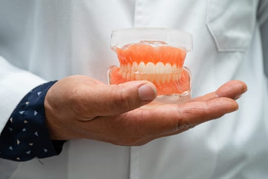 Denture, dentist holding dental teeth model to study and treat in hospital.