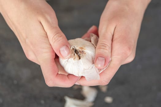 A woman cuts garlic with a knife close-up. Cutting garlic for salad or as an aromatic spice for meat. High quality photo