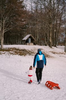 Dad with a small child and a sled climbs a hill across a snowy plain. Back view. High quality photo