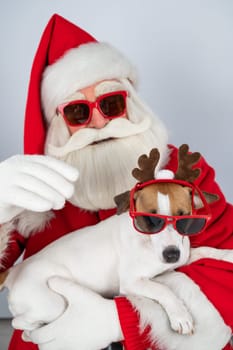 Portrait of santa claus in sunglasses and dog jack russell terrier in rudolf reindeer ears on a white background