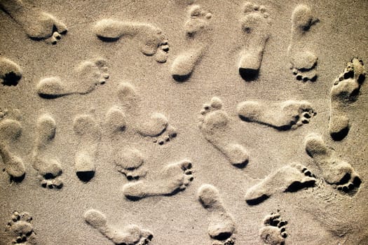 Photographic documentation footprints of people on gray sand 
