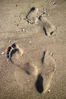 Photographic documentation footprints of people on gray sand 
