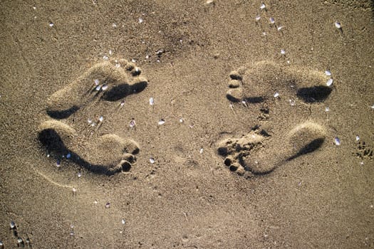 Photographic documentation footprints of people on gray sand 
