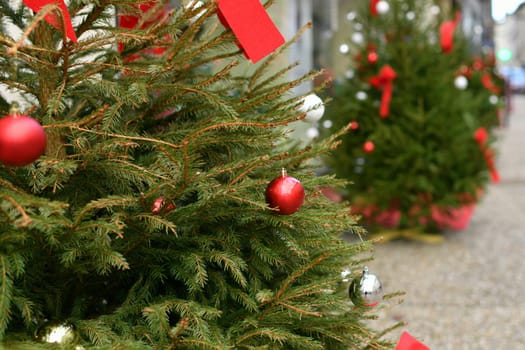 Decorated Christmas trees near shops in the city