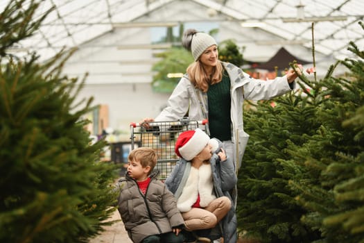 Mother and children choose a Christmas tree in the market.