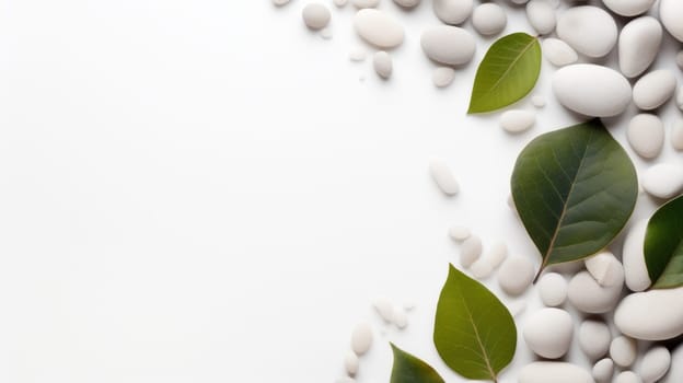 White pebbles and green leaves on a white background. This image shows a contrast between the smooth pebbles and the fresh leaves. High quality photo