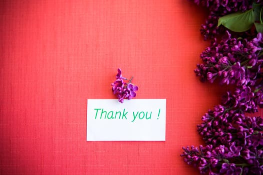 red background with branches of blooming beautiful lilac, with a greeting card.