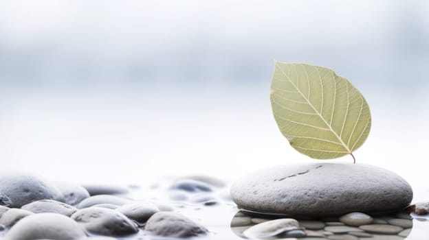 a leaf resting on a rock, with a blurred background of water and other rocks, creating a serene and tranquil scene. High quality photo