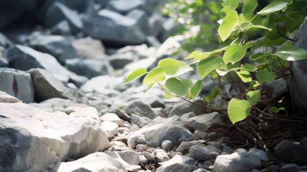 a close-up of a plant growing among rocks, symbolizing resilience and the power of life in harsh conditions. High quality photo