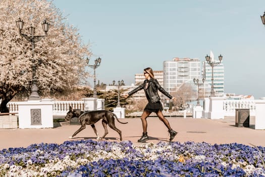A woman walks with her Great Dane in an urban setting, enjoying the outdoors and the company of her dog