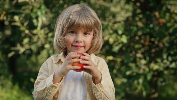 Cute little toddler boy eating ripe red apple in beautiful garden. Son explores plants, nature in autumn. Amazing scene with kid. Childhood concept