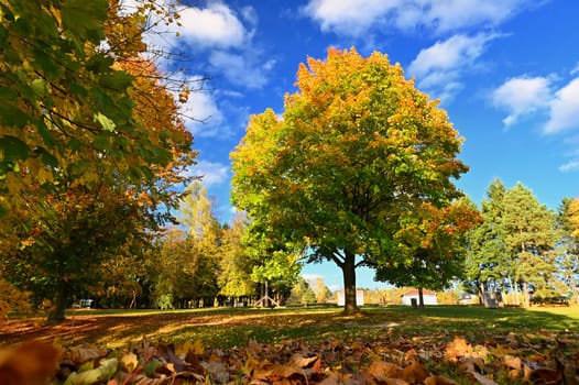 Beautiful colourful autumn landscape in the Czech Republic. Colorful trees in nature in autumn season. Seasonal concept for outdoor activities. 