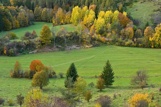 Beautiful colourful autumn landscape in the Czech Republic. Colorful trees in nature in autumn season. Seasonal concept for outdoor activities. 