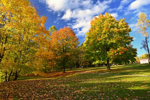 Beautiful colourful autumn landscape in the Czech Republic. Colorful trees in nature in autumn season. Seasonal concept for outdoor activities. 