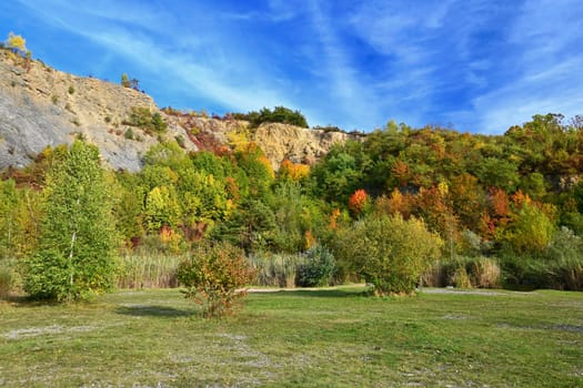 Beautiful colourful autumn landscape. Nature with forest and colourful trees in autumn. Concept for the season and the environment. 