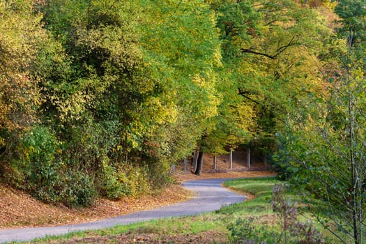 Beautiful colourful autumn landscape. Nature with forest and colourful trees in autumn. Concept for the season and the environment. 